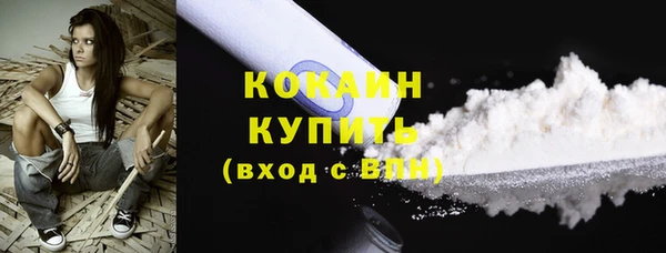 ПСИЛОЦИБИНОВЫЕ ГРИБЫ Осинники