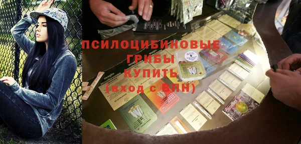 ПСИЛОЦИБИНОВЫЕ ГРИБЫ Осинники