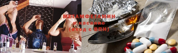 ПСИЛОЦИБИНОВЫЕ ГРИБЫ Осинники