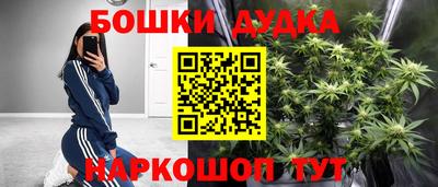 крисы Балаково